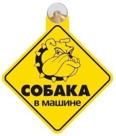 табличка на присоске "злая собака в машине" 