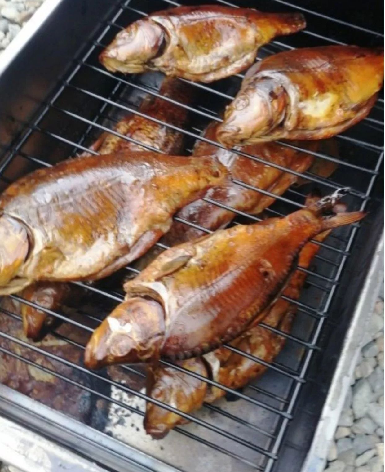 Коптильня двухъярусная (К-002) 450х280х170мм с поддоном