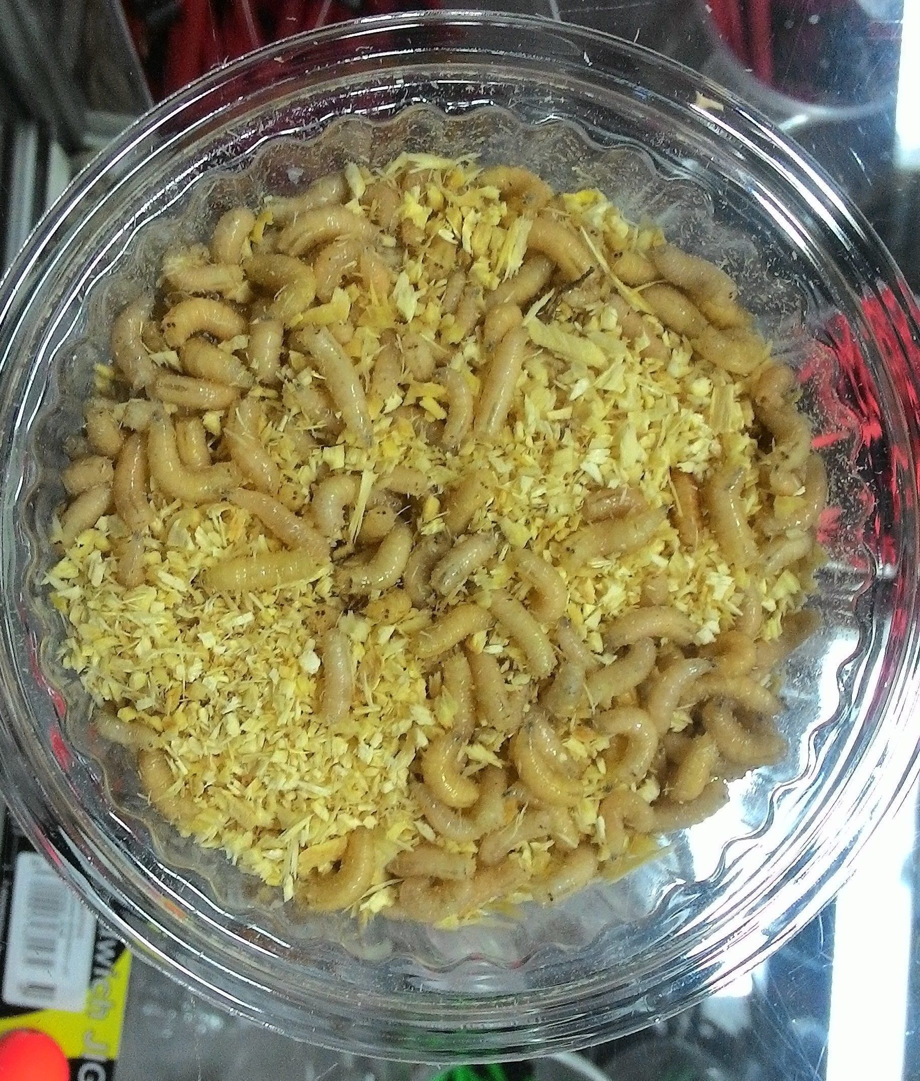 Опарыш (банка)