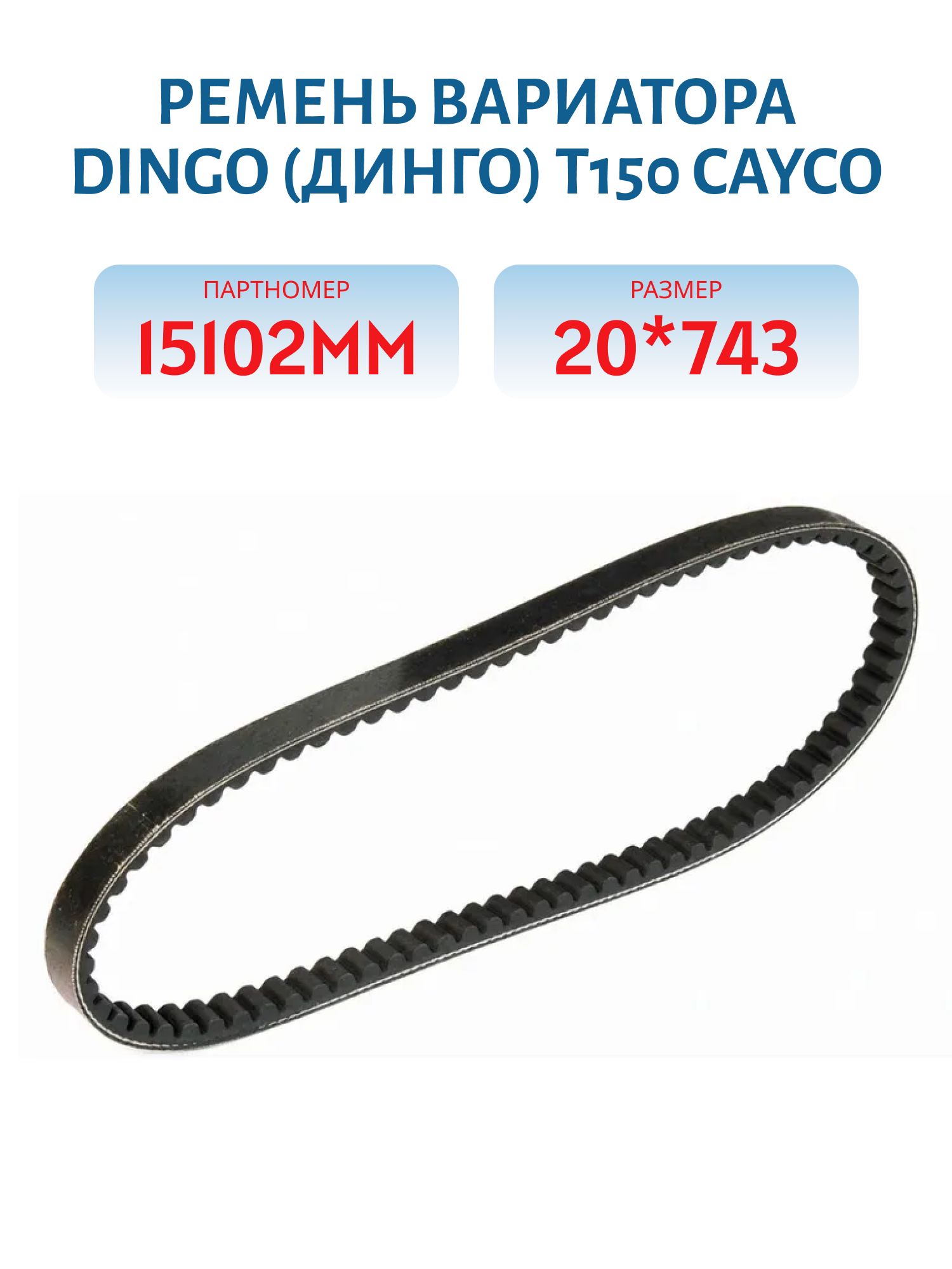 Ремень вариатора Dingo (Динго) T150 20*743 CAYCO