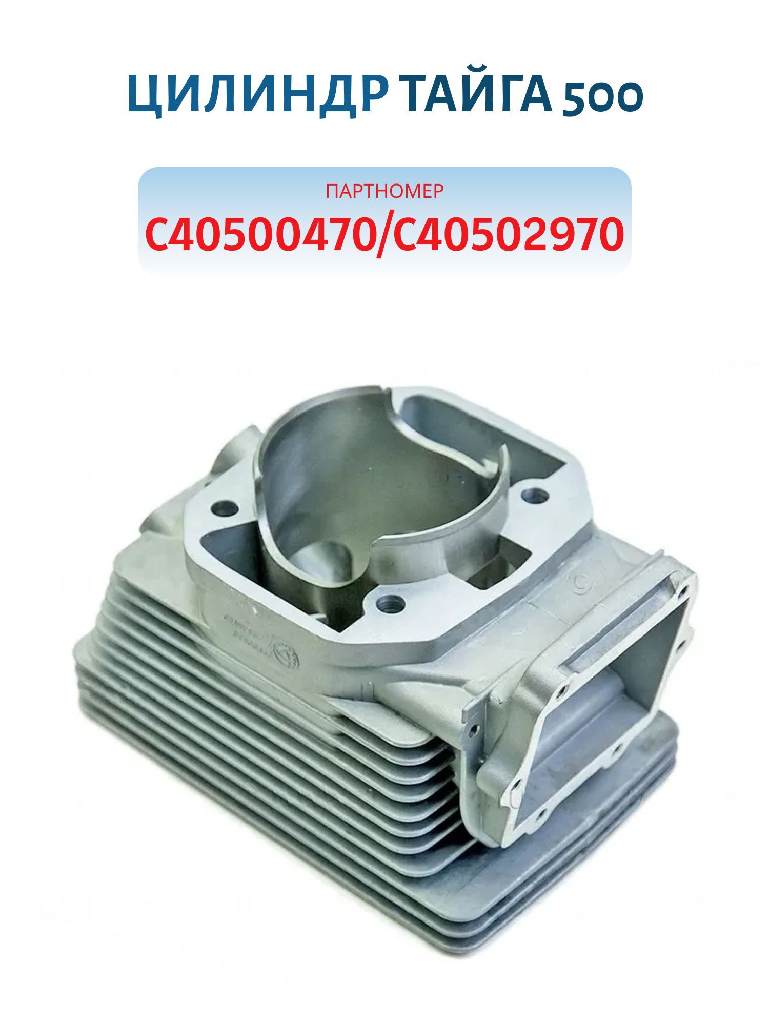 Цилиндр Тайга 550 оригинал С40500199 