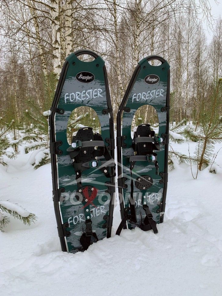 Снегоступы FORESTER F1238 30.5x96.5 до 120 кг  