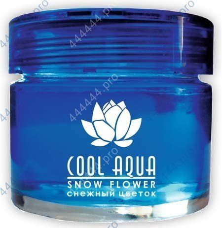 Ароматизатор "Cool Aqua" (Снежный цветок) CA-13