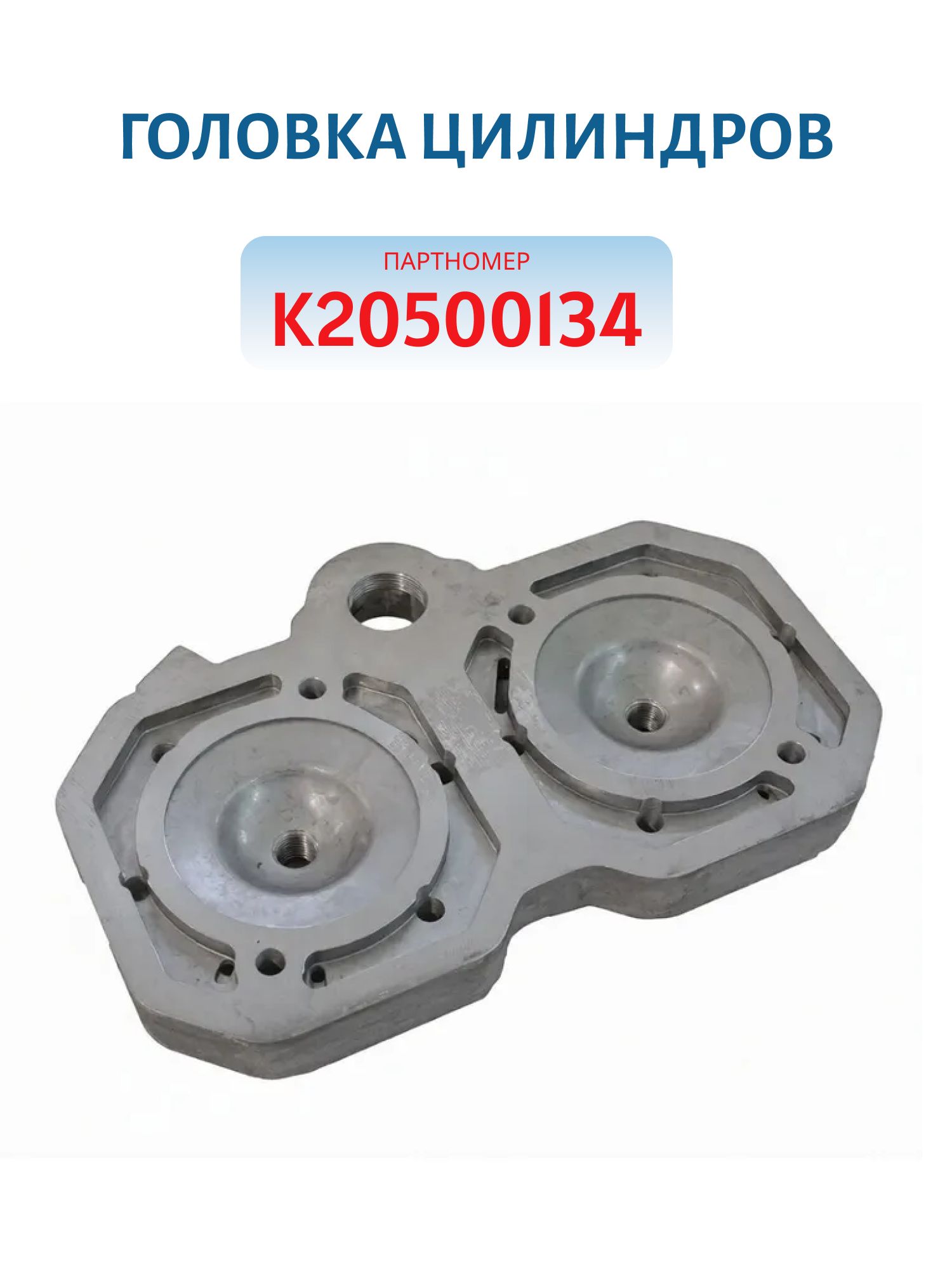 Головка цилиндров K20500134