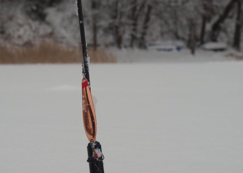 Блесна зимняя Varma 55/8 C-S