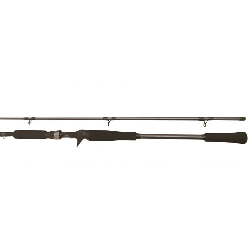 Спиннинг BFT Raptor G2 Pike Multi 8 -100g,  2-частник с курком