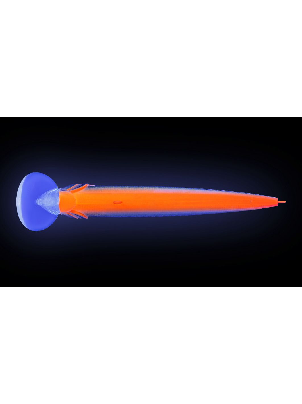 Воблер Минноу Strike Pro Beakster 130,  130 мм,  27, 3 гр,  Загл. 3, 0м.-5, 0м.,  Плавающий,  цвет: A70-713 Black Silver OB,  (EG-124D#A70-713)