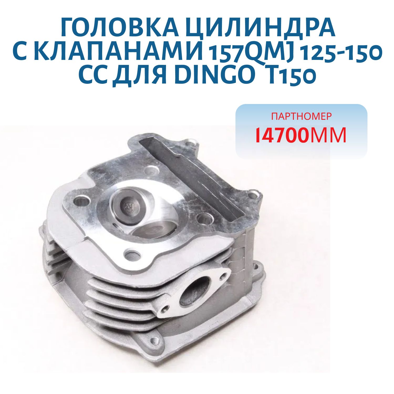 Головка цилиндра с клапанами 157QMJ 125-150 cc Dingo (Динго) T150