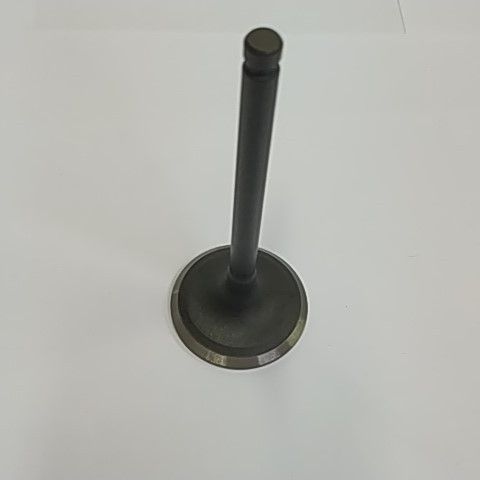 Клапан выпускной 400/500 P002000147210000