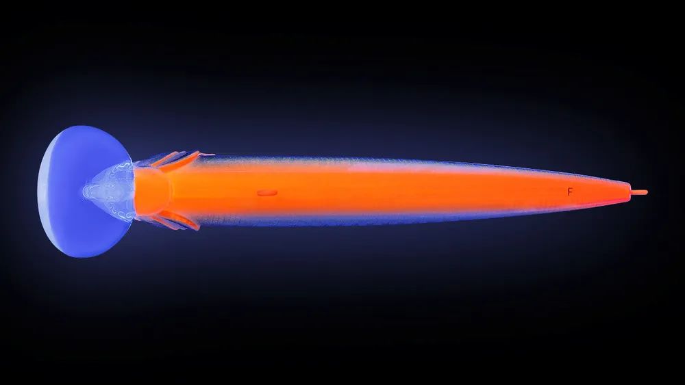Воблер Минноу Strike Pro Beakster 110,  110 мм,  13, 7 гр,  Загл. 2, 0м.-3, 0м.,  Плавающий,  цвет: A56RGB Smoked Skeleton Lightning,  (EG-124C#A56RGB)