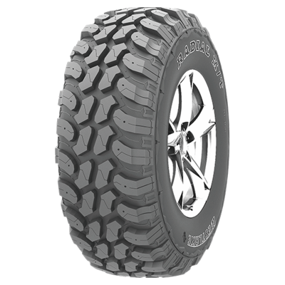 LT31x10, 5R15 109Q Mud Legend SL366 TL PR6