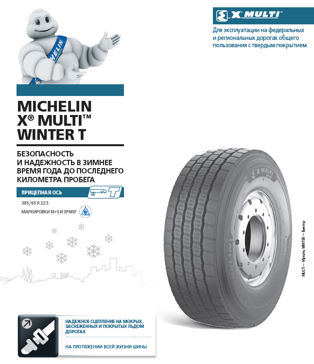 michelin_2.png